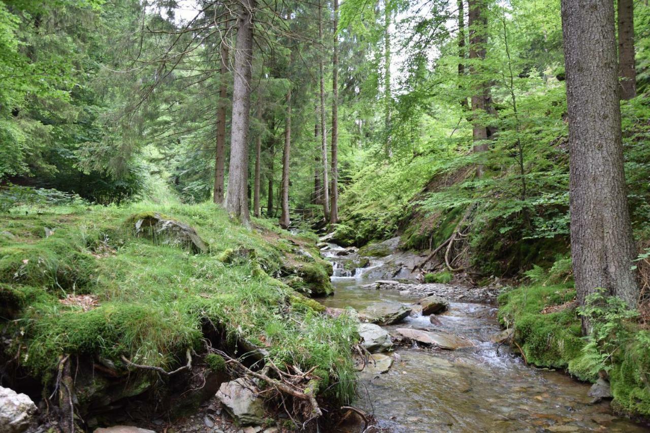 Marschalls Hotel Am Rennsteig Neuhaus am Rennweg Esterno foto